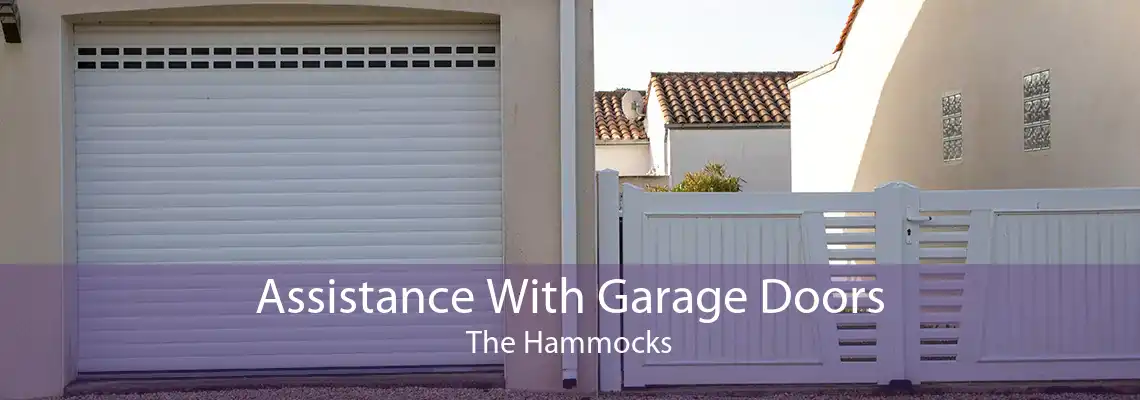 Assistance With Garage Doors The Hammocks