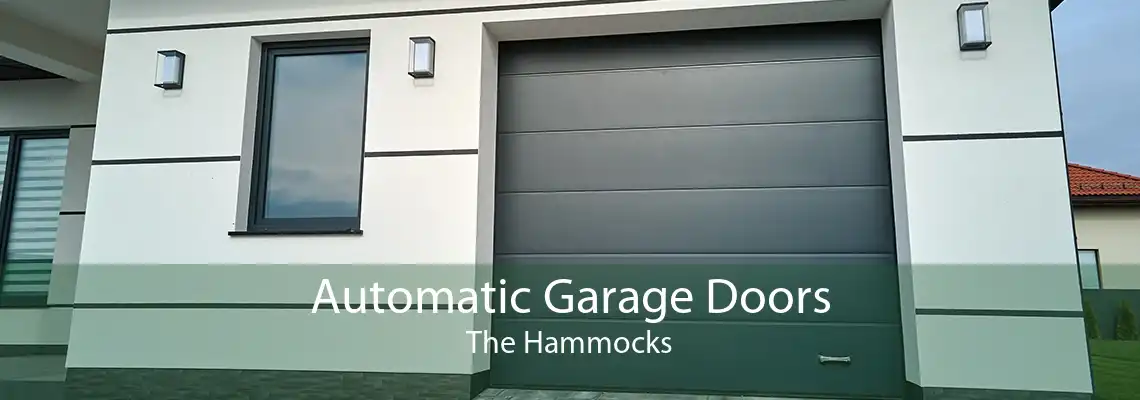 Automatic Garage Doors The Hammocks