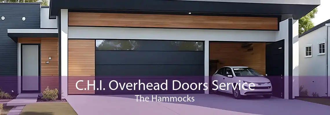 C.H.I. Overhead Doors Service The Hammocks