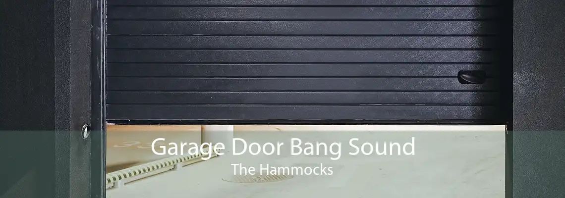 Garage Door Bang Sound The Hammocks