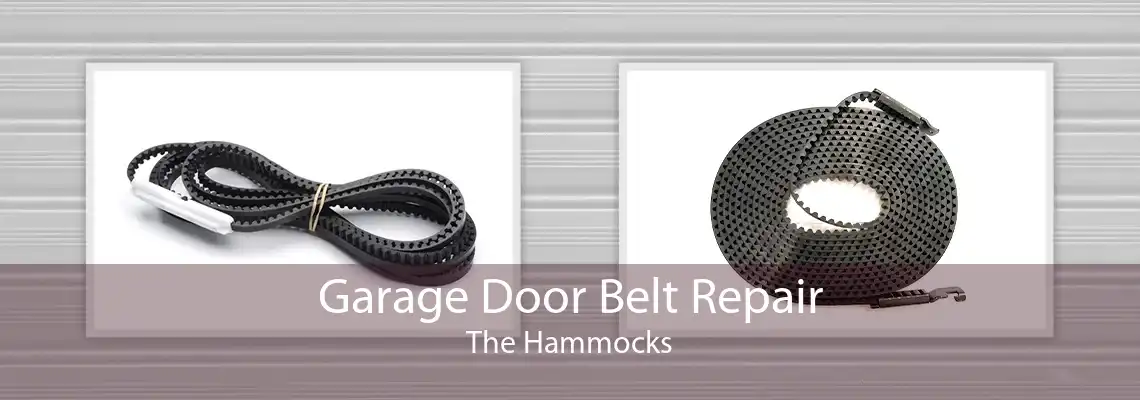 Garage Door Belt Repair The Hammocks