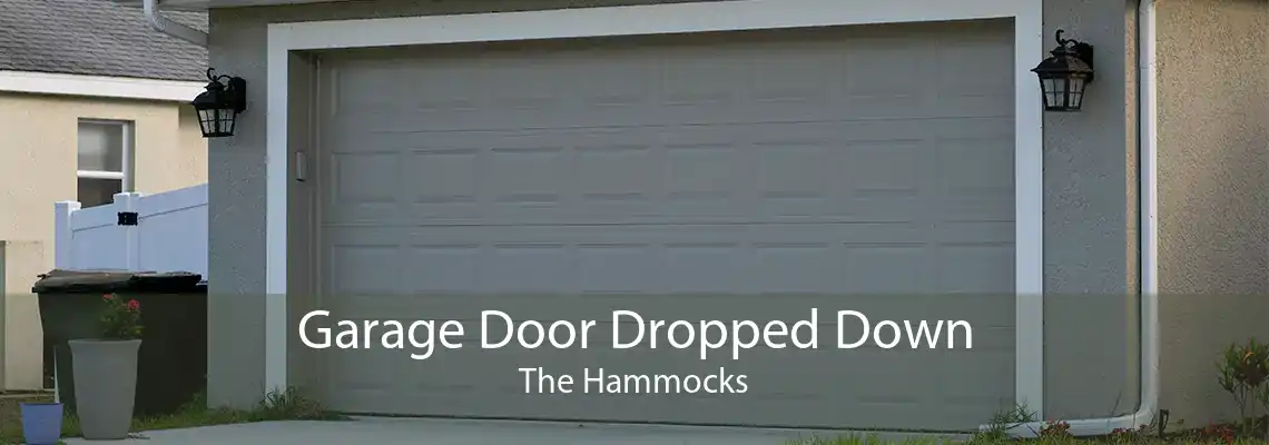 Garage Door Dropped Down The Hammocks