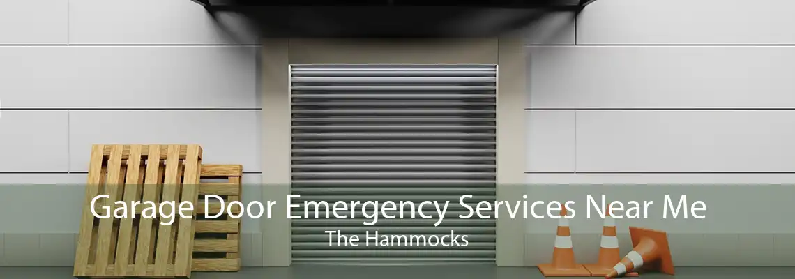 Garage Door Emergency Services Near Me The Hammocks