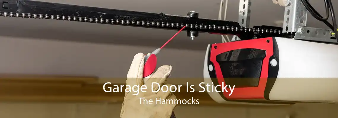 Garage Door Is Sticky The Hammocks