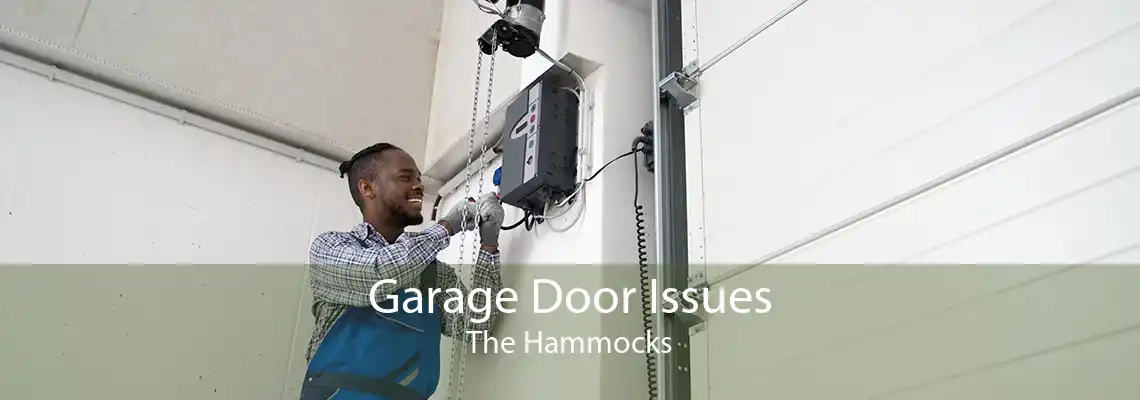 Garage Door Issues The Hammocks