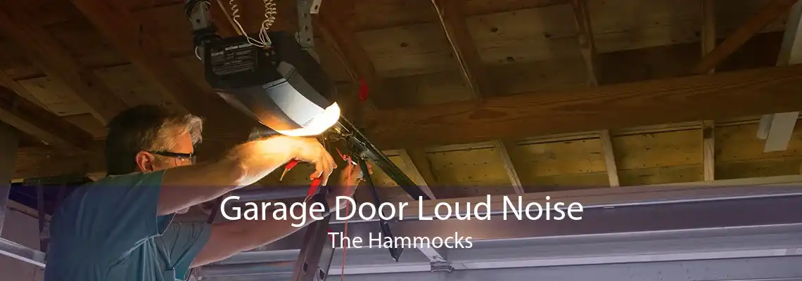Garage Door Loud Noise The Hammocks
