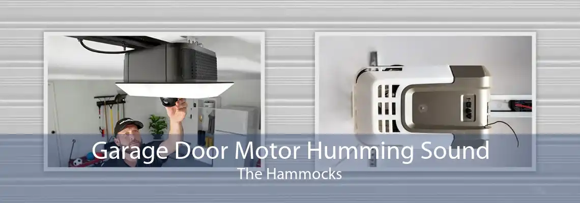 Garage Door Motor Humming Sound The Hammocks