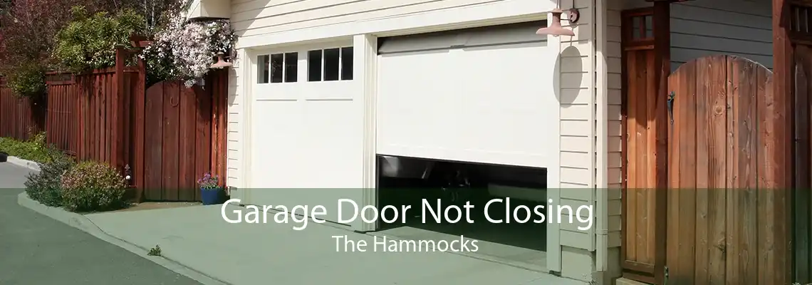 Garage Door Not Closing The Hammocks