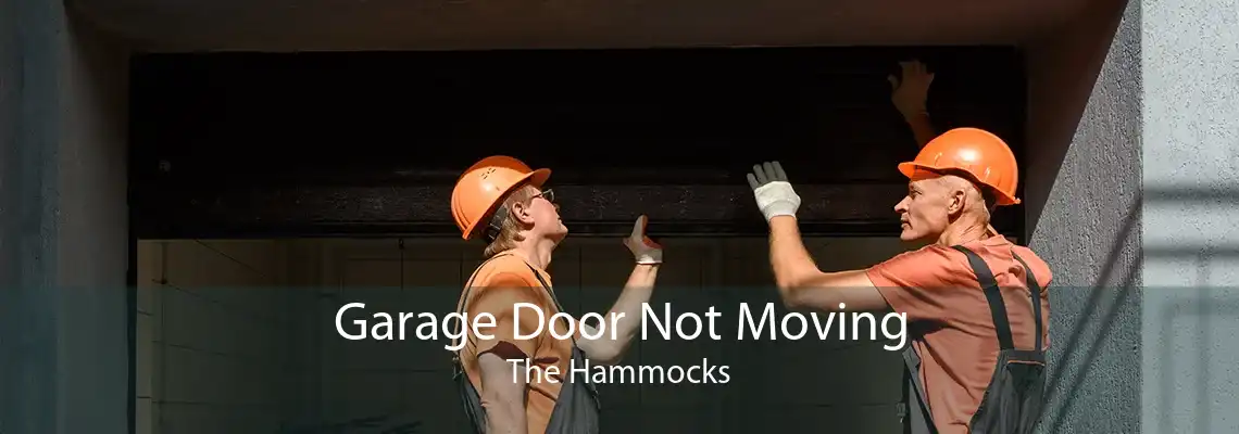 Garage Door Not Moving The Hammocks