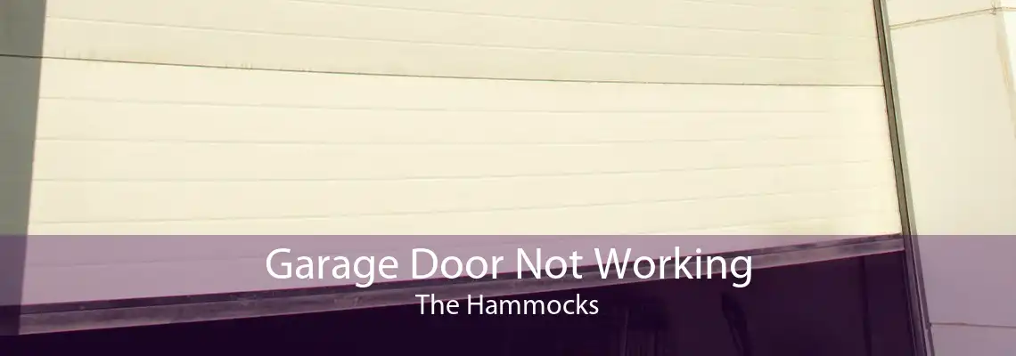 Garage Door Not Working The Hammocks