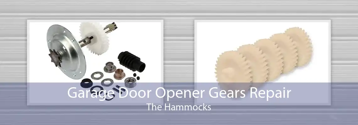 Garage Door Opener Gears Repair The Hammocks
