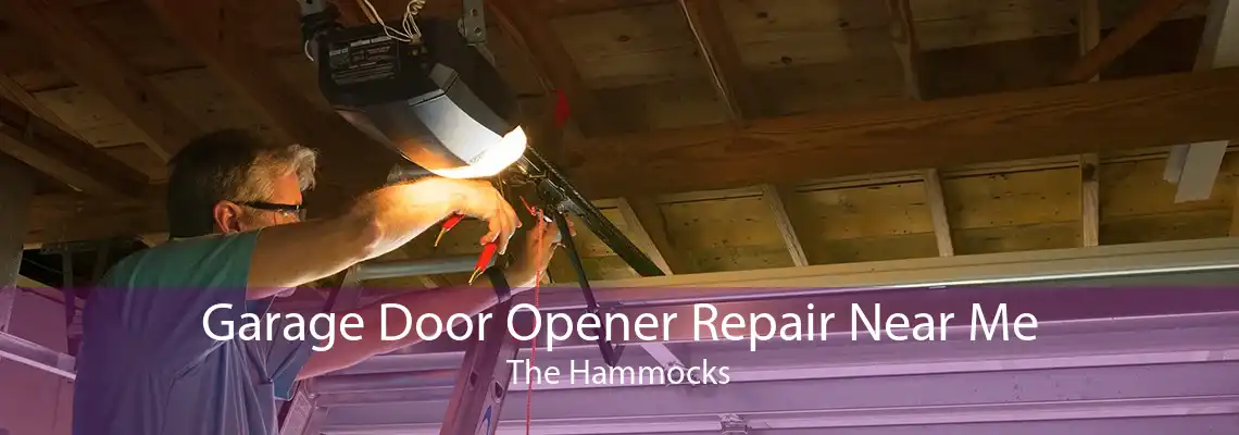 Garage Door Opener Repair Near Me The Hammocks