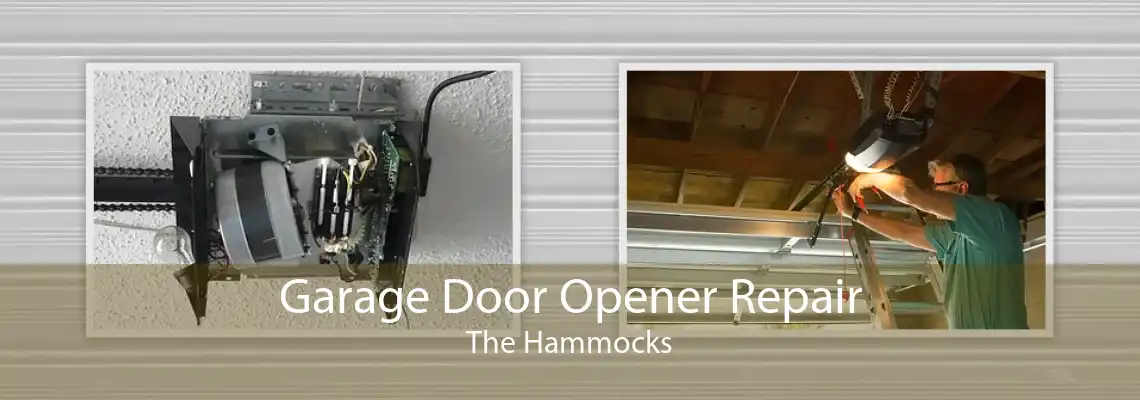 Garage Door Opener Repair The Hammocks