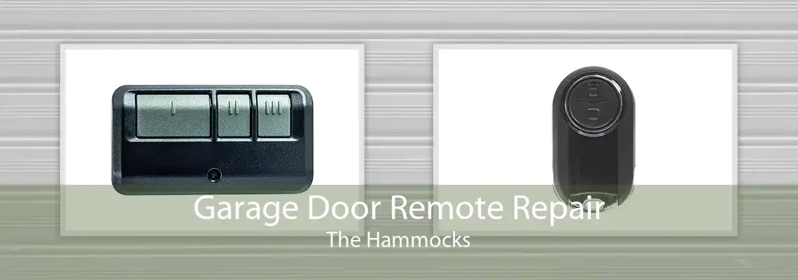 Garage Door Remote Repair The Hammocks