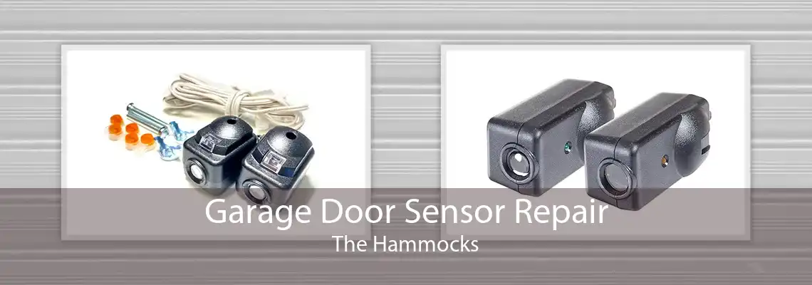 Garage Door Sensor Repair The Hammocks