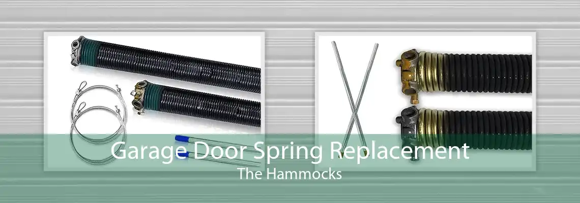 Garage Door Spring Replacement The Hammocks