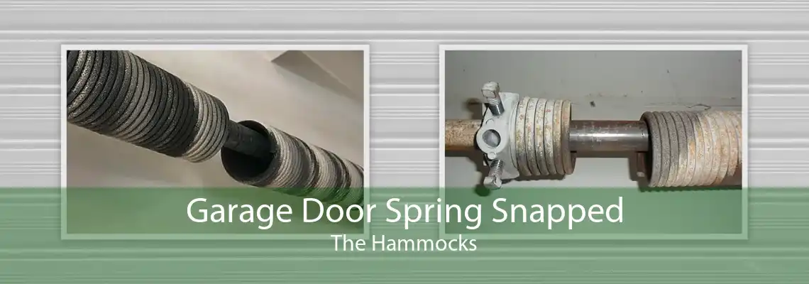 Garage Door Spring Snapped The Hammocks