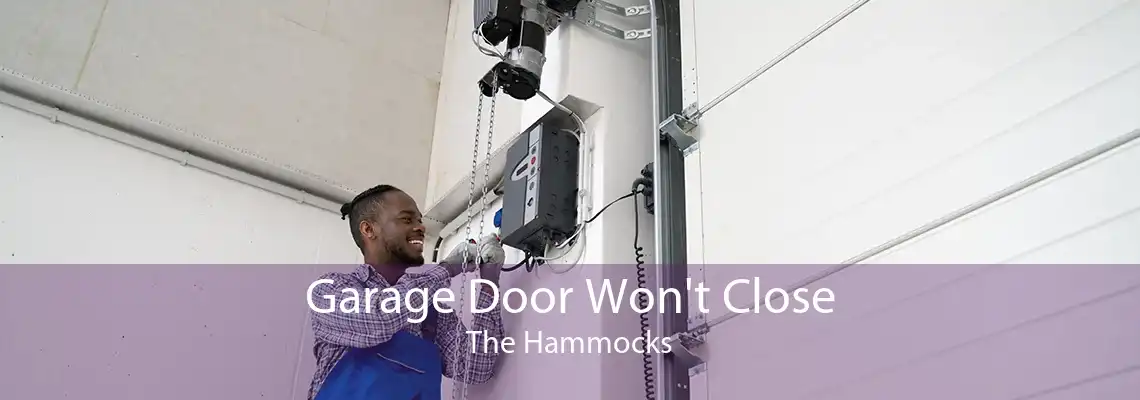 Garage Door Won't Close The Hammocks