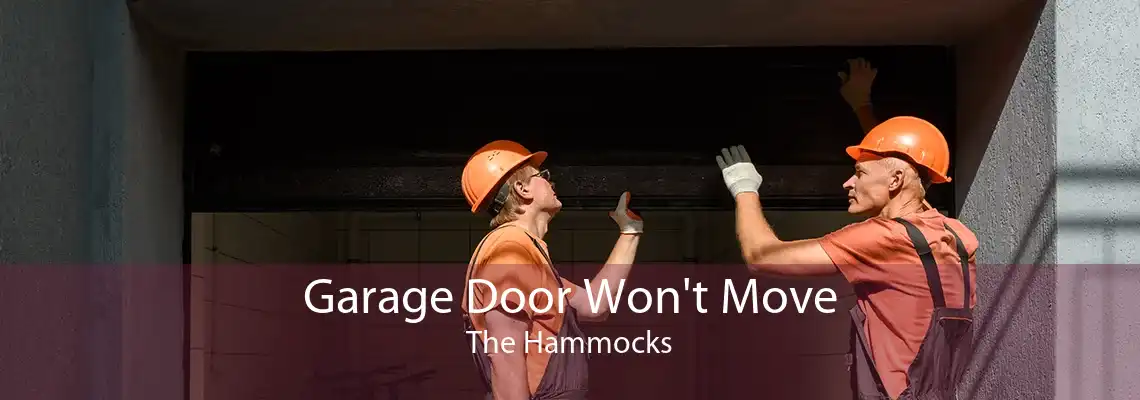 Garage Door Won't Move The Hammocks