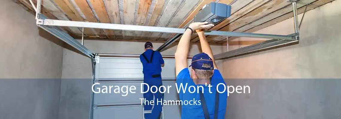 Garage Door Won't Open The Hammocks