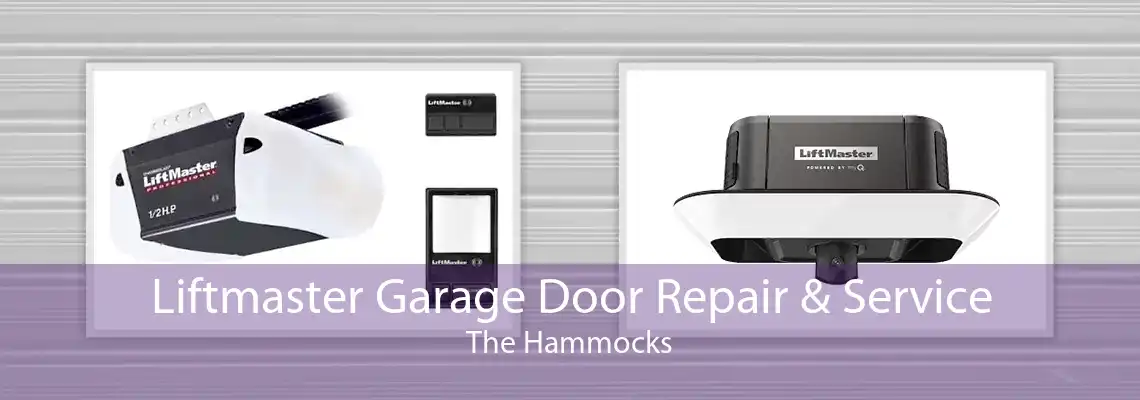 Liftmaster Garage Door Repair & Service The Hammocks