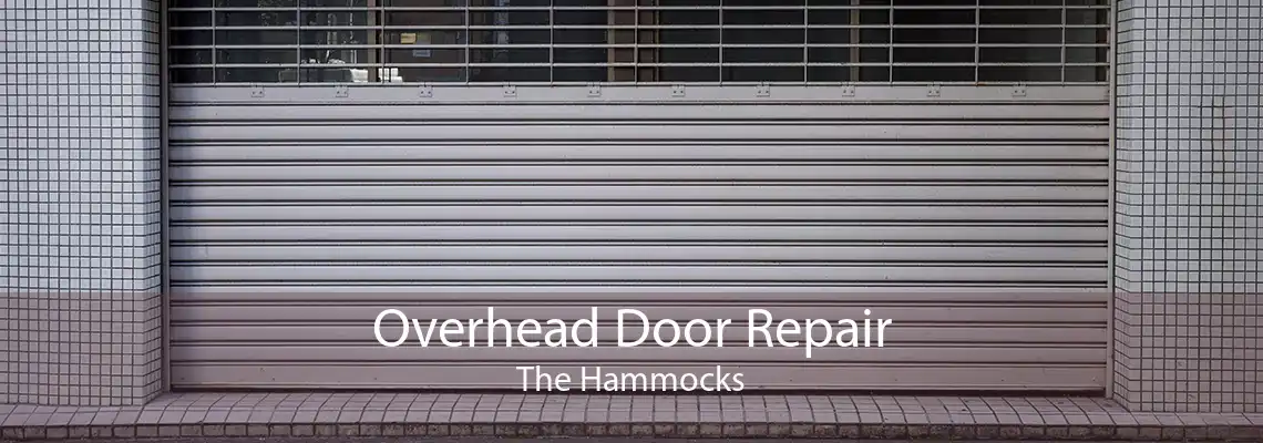 Overhead Door Repair The Hammocks