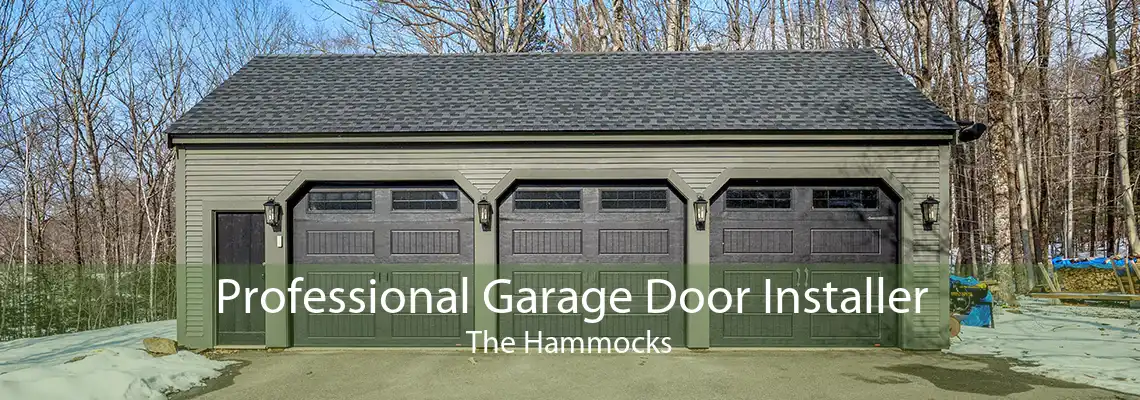Professional Garage Door Installer The Hammocks