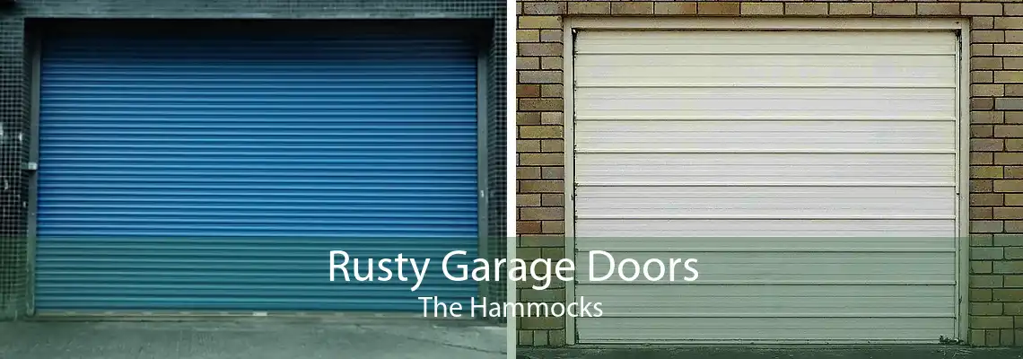 Rusty Garage Doors The Hammocks
