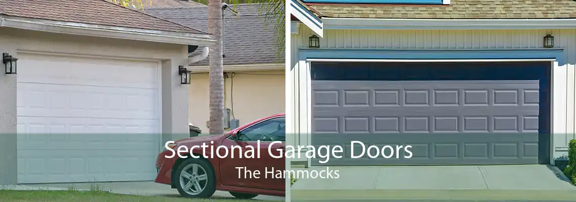 Sectional Garage Doors The Hammocks