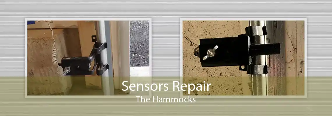 Sensors Repair The Hammocks