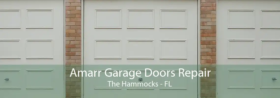 Amarr Garage Doors Repair The Hammocks - FL