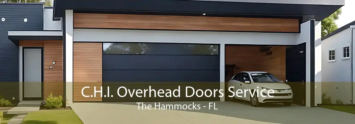 C.H.I. Overhead Doors Service The Hammocks - FL