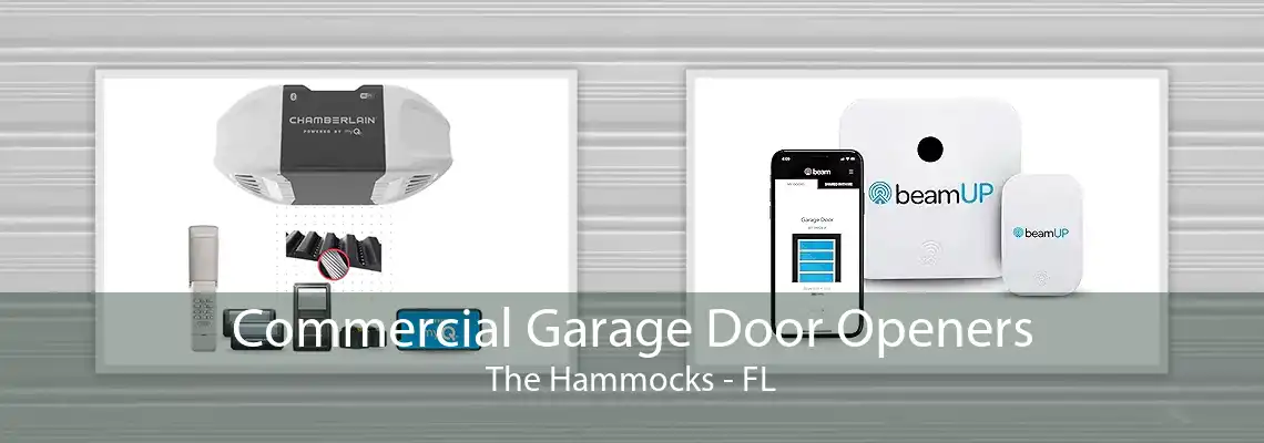 Commercial Garage Door Openers The Hammocks - FL