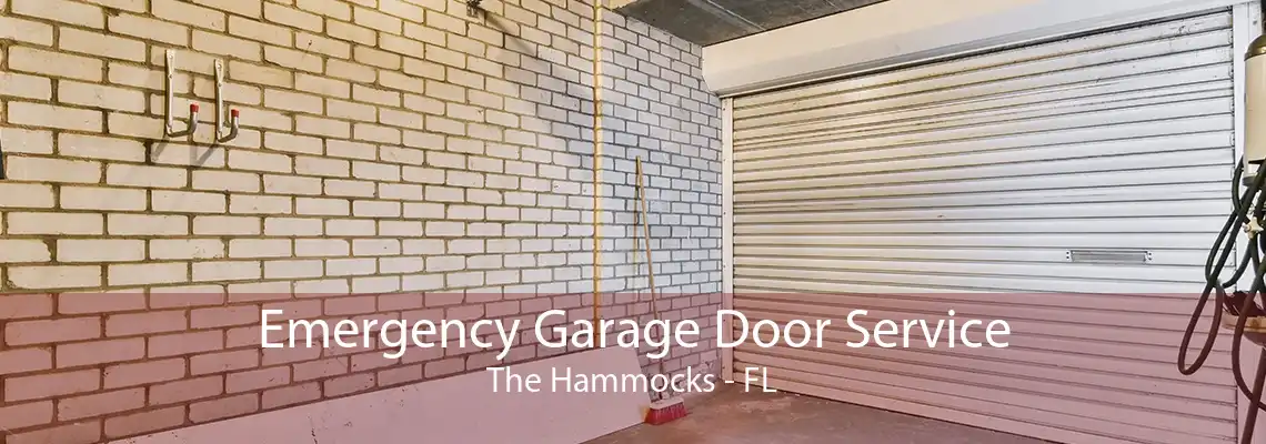 Emergency Garage Door Service The Hammocks - FL