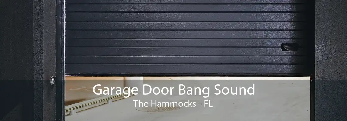 Garage Door Bang Sound The Hammocks - FL