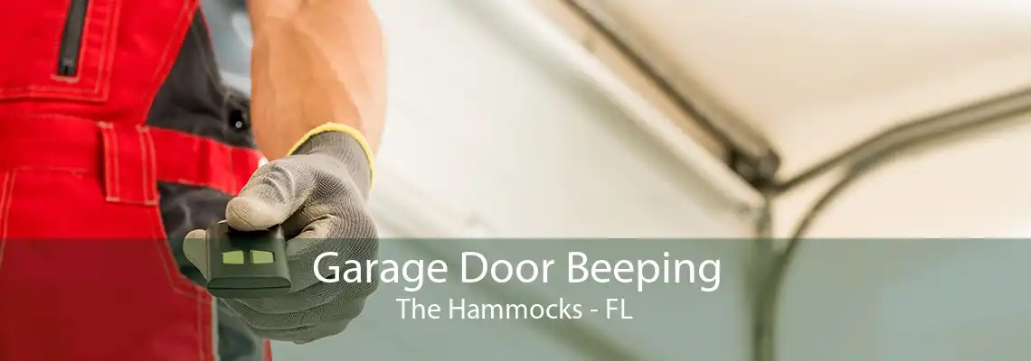 Garage Door Beeping The Hammocks - FL