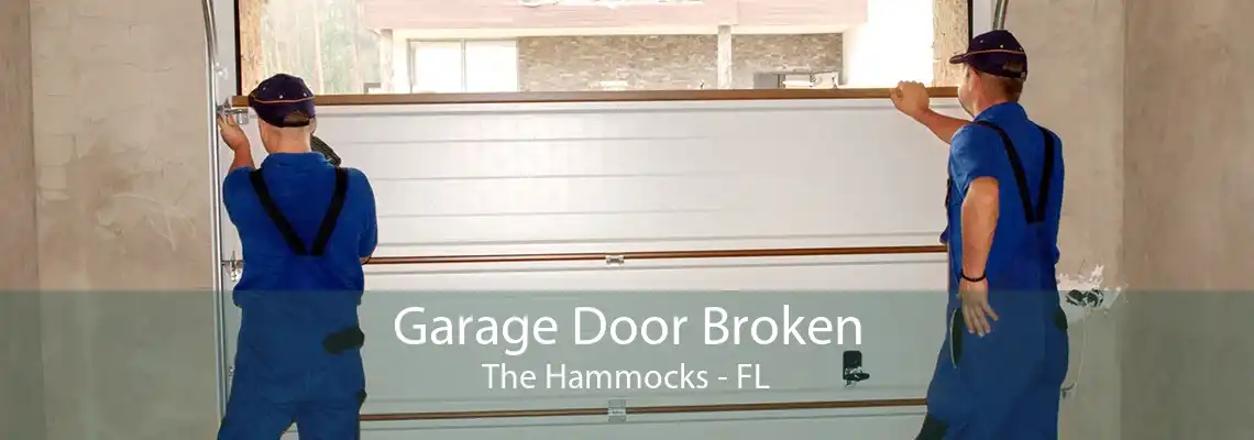 Garage Door Broken The Hammocks - FL