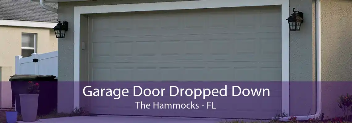 Garage Door Dropped Down The Hammocks - FL