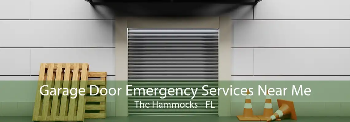 Garage Door Emergency Services Near Me The Hammocks - FL