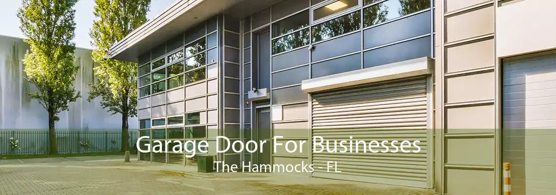 Garage Door For Businesses The Hammocks - FL