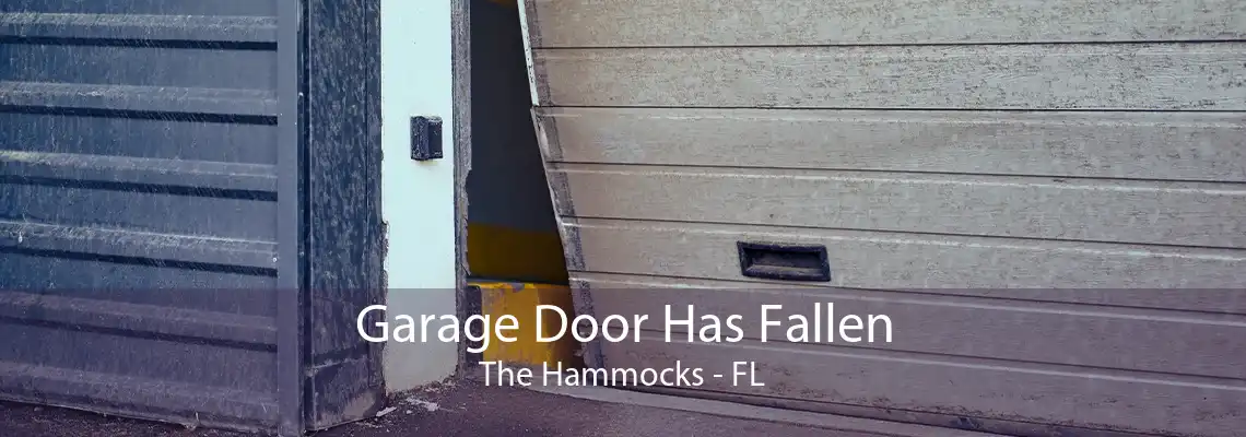 Garage Door Has Fallen The Hammocks - FL