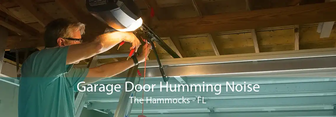 Garage Door Humming Noise The Hammocks - FL