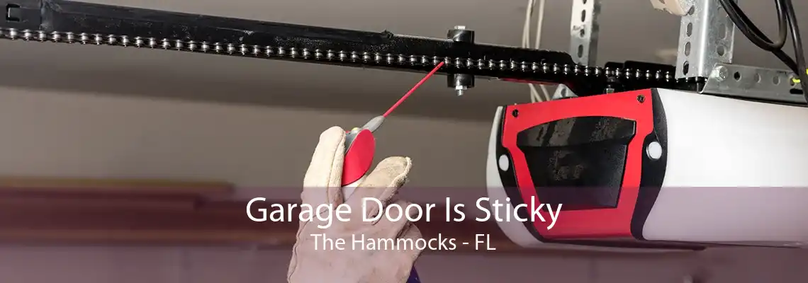 Garage Door Is Sticky The Hammocks - FL