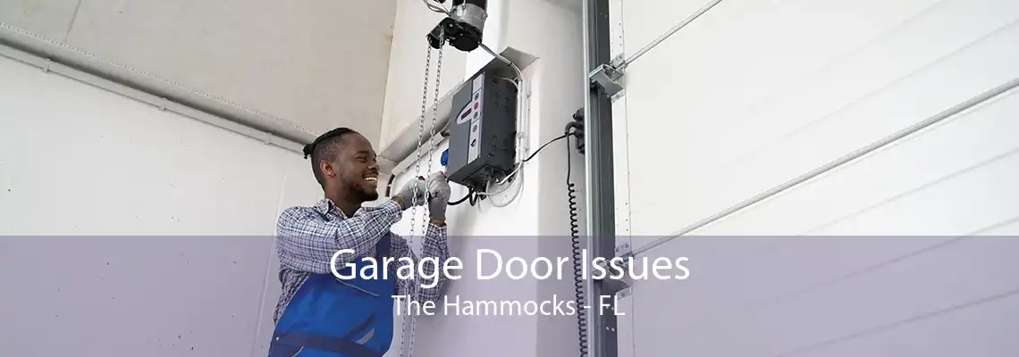 Garage Door Issues The Hammocks - FL