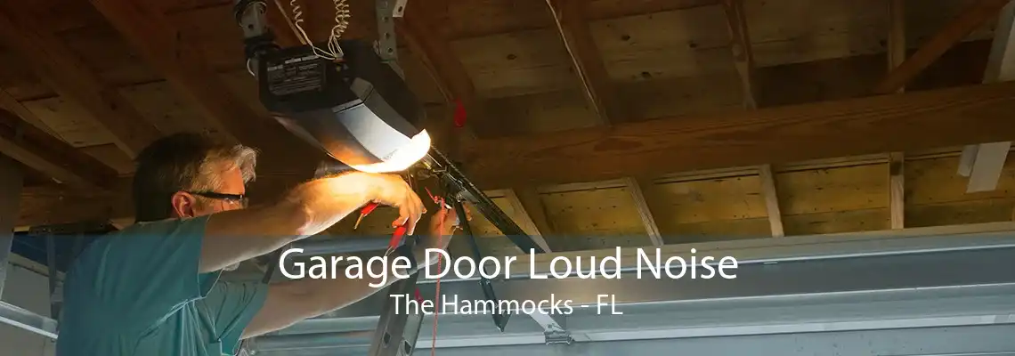 Garage Door Loud Noise The Hammocks - FL