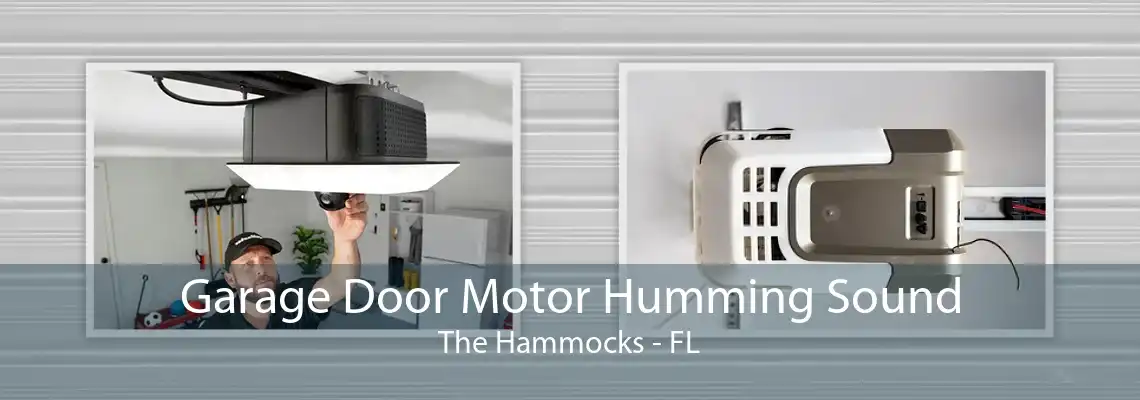 Garage Door Motor Humming Sound The Hammocks - FL
