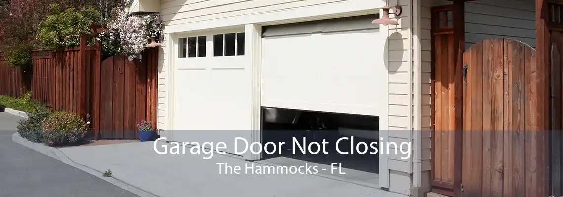 Garage Door Not Closing The Hammocks - FL