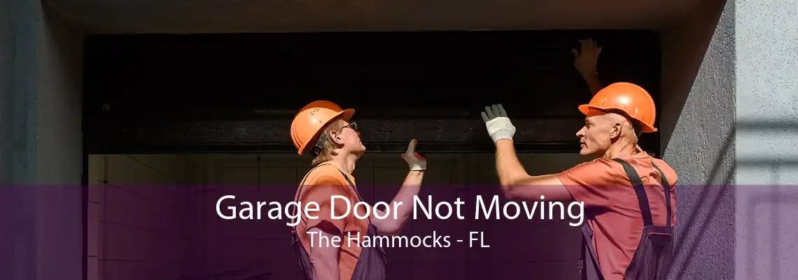 Garage Door Not Moving The Hammocks - FL