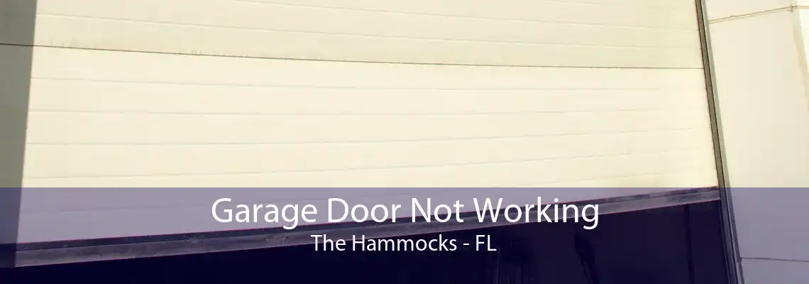 Garage Door Not Working The Hammocks - FL