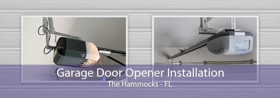 Garage Door Opener Installation The Hammocks - FL